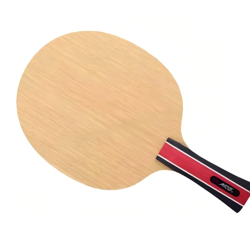 Table Tennis Review - Original Galaxy Yinhe Earth E-3 E3